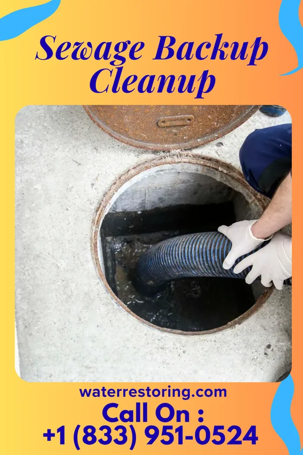 Sewage Backup Cleanup in Hague, ND