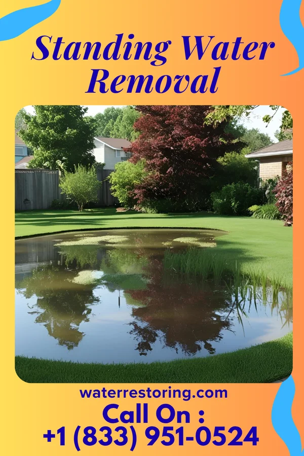 Standing Water Removal in Hague, ND